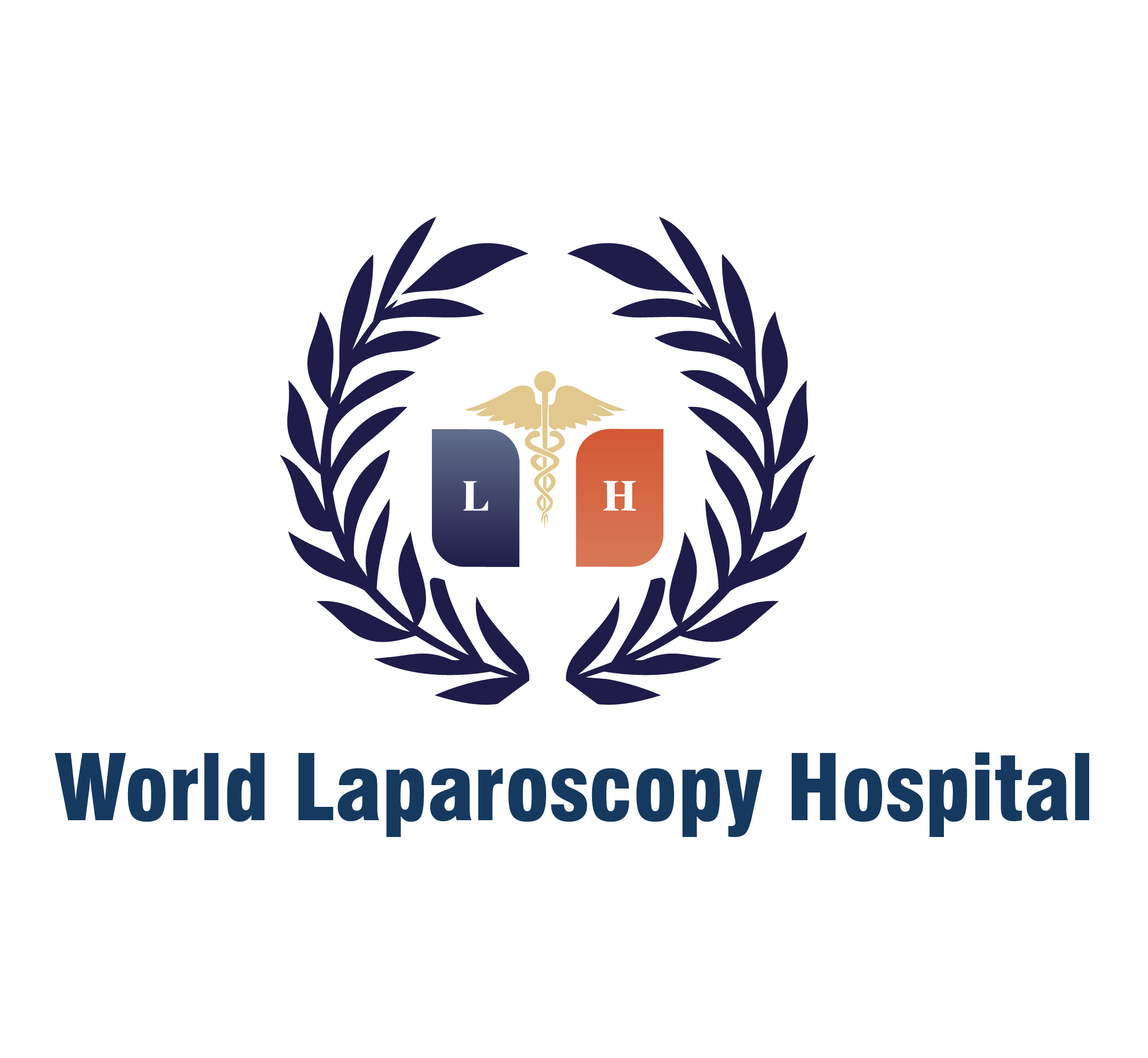 World Laparoscopy Hospital